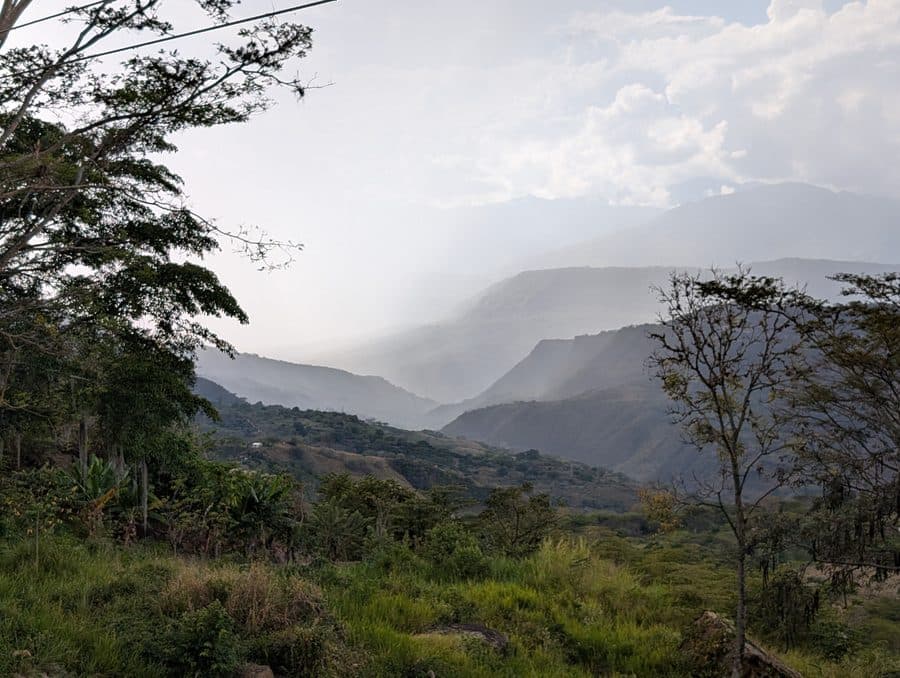 Coffee farms in the mountains of Colombia